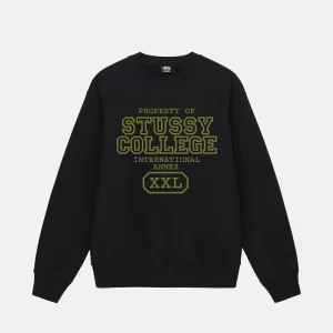 Stussy Eigentum Der Crew